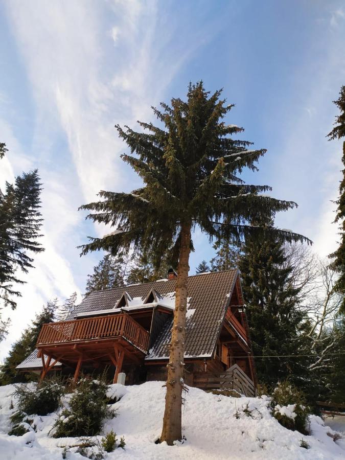 Gierkowka - Gorska Rezydencja Pierwszego Sekretarza Zwardoń Exterior foto