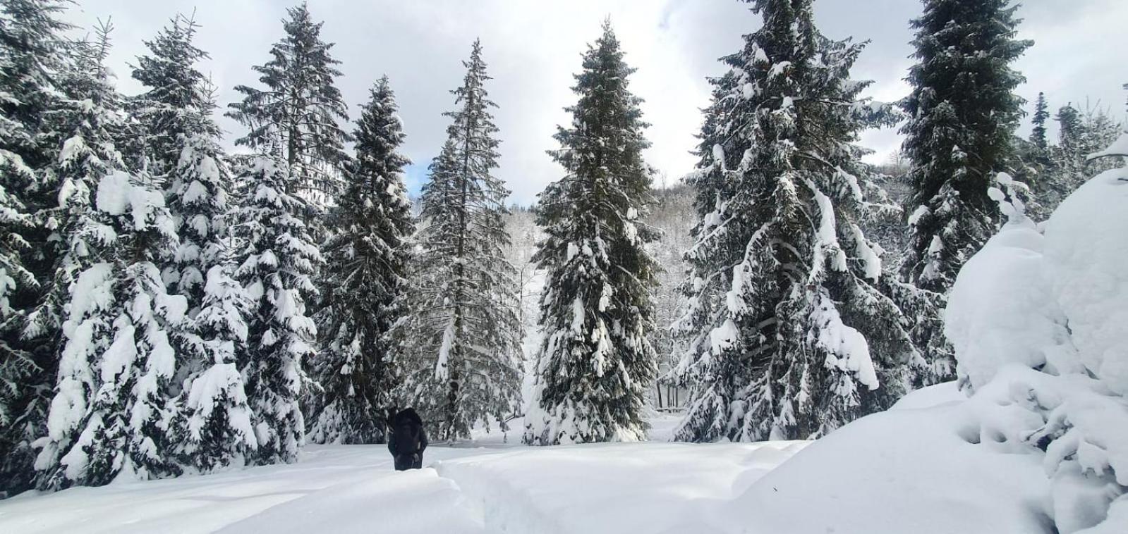 Gierkowka - Gorska Rezydencja Pierwszego Sekretarza Zwardoń Exterior foto